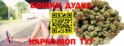 сатива Кандалакша