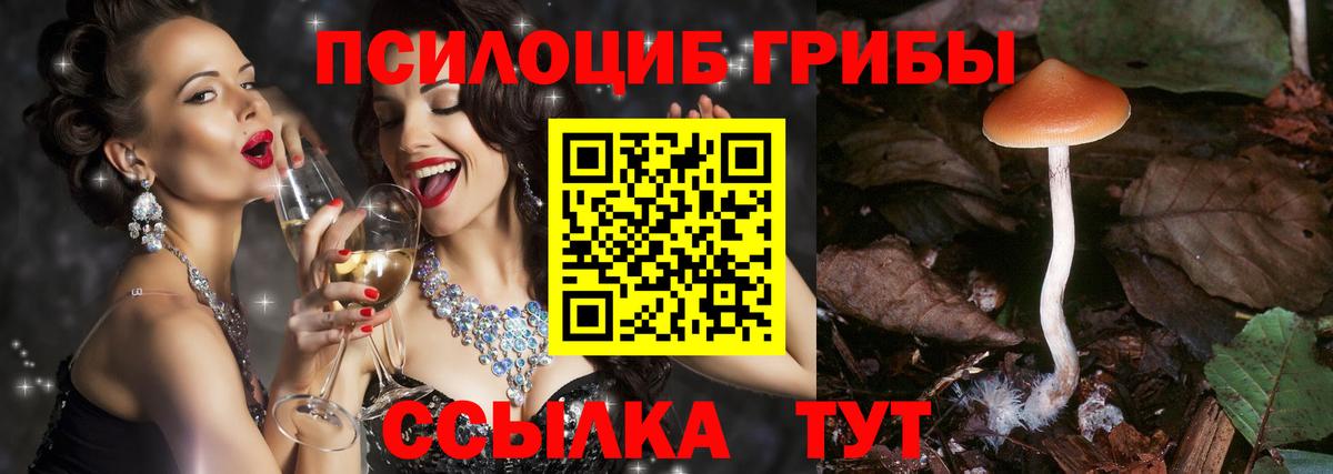 Псилоцибиновые грибы мицелий  Вход с VPN  Чебаркуль 